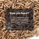 Cumin Seeds Whole