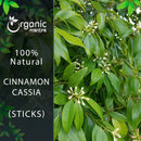 Cinnamon Cassia Sticks