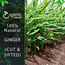 Ginger (Cut & Sifted)