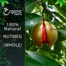 Nutmeg (Myristica fragrans) Whole