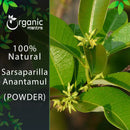 Sarsaparilla Powder