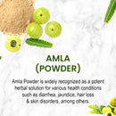 Amla Powder introduction slide describing it as a potent herbal solution for health conditions including diarrhea, jaundice, hair loss, and skin disorders, shown with fresh amla fruits and powder.