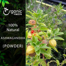 Organic Mantra 100% natural Ashwagandha Powder product image showing the live plant with berries.