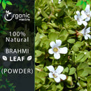 Brahmi Leaf Powder