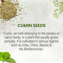 Cumin Seeds Whole