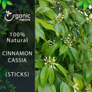 Organic Mantra 100% Natural Cinnamon Cassia Sticks product banner with brand logo on a dark leafy left panel beside a vivid outdoor close-up photograph of a dense Cinnamomum cassia tree branch displaying broad glossy green leaves and clusters of small white flower buds.