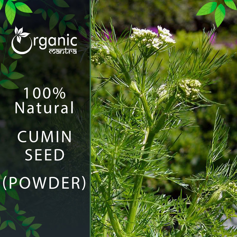 Organic Cumin Seed Powder - Freshly Ground | Organicmantra
