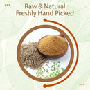 Raw and freshly hand-picked cumin seed jeera powder in a wooden scoop alongside whole cumin seeds and fresh cumin plant sprigs on a white background.