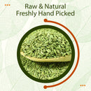 Raw and Natural Freshly Hand Picked whole fennel seeds A saunf macro close-up of bright green striped seeds piled on a wooden scoop, framed in a dark green double circle with a rust-orange arc over a cream leaf-texture background.