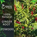 Ginger Root Powder