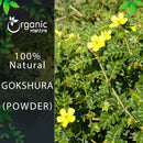 Gokshura Powder