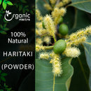 Organic Mantra 100% natural Haritaki Powder product image featuring a close-up of the Terminalia chebula tree branch with unripe green fruits and delicate cream-colored flower spikes.