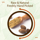 Raw and freshly hand-picked Haritaki powder carried in a wooden flat scoop alongside whole dried Haritaki fruits, showcasing the natural fruit-to-powder transformation.