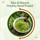 Moringa Leaf Powder