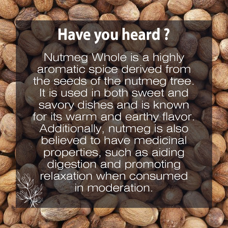 Nutmeg (Myristica fragrans) Whole