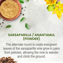 Sarsaparilla Powder