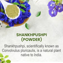 Shankhpushpi (Convolvulus pluricaulis) powder intro slide on a stone surface, showing green powder in a white cone scoop resting atop a wooden bowl filled with deep blue trumpet-shaped shankhpushpi flowers.