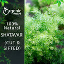  Shatavari (Cut & Sifted)