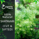 Organic Mantra 100% Natural Shatavari Cut and Sifted product banner with brand logo on a dark leafy left panel beside a vivid outdoor close-up photograph of a lush Asparagus racemosus plant with dense, feathery, needle-like, bright green foliage covered in glistening morning water droplets.