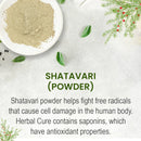 Shatavari Powder product info card on a light grey stone-textured background with a white plate of pale beige powder at the top left, scattered small green leaves and black pepper seeds, and decorative green Asparagus racemosus fern sprigs with red berries in the corners, describing its saponin-rich antioxidant properties that fight free radicals and cell damage.
